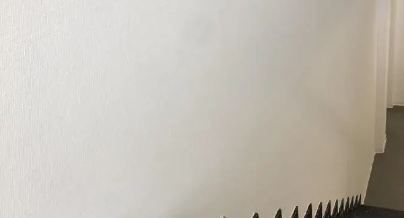 Malerarbeit in Hamm Paracelsuspark